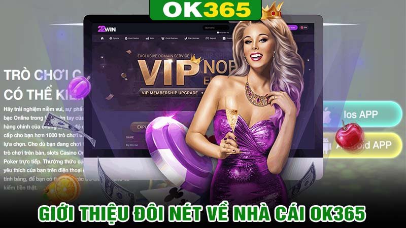 Giới thiệu đôi nét về nhà cái ok365