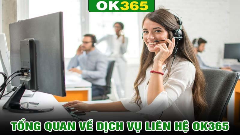 Tổng quan về dịch vụ Liên Hệ Ok365